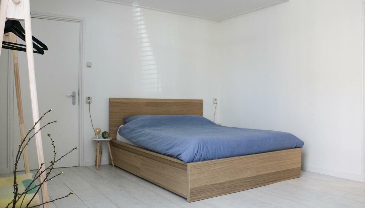 Logement Nij Bonga הולוורד מראה חיצוני תמונה